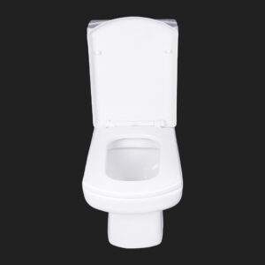 201 WC P TRAP