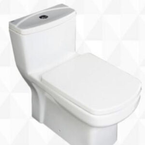 201 one piece wc