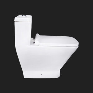 301-ONE PIECE WC