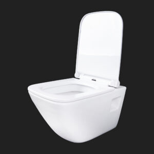 301-WALL HANG WC